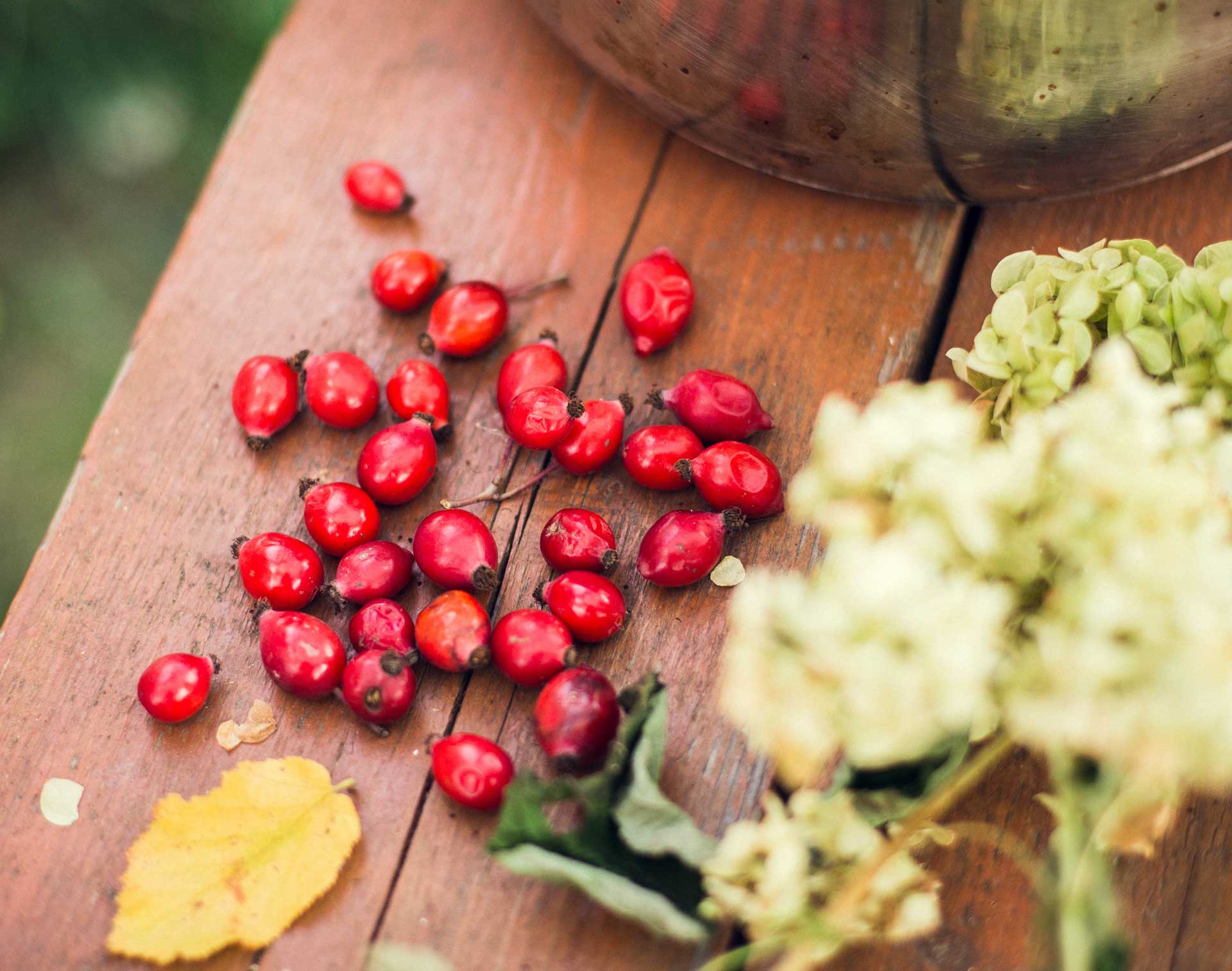 Some benefits of Rosehip oil